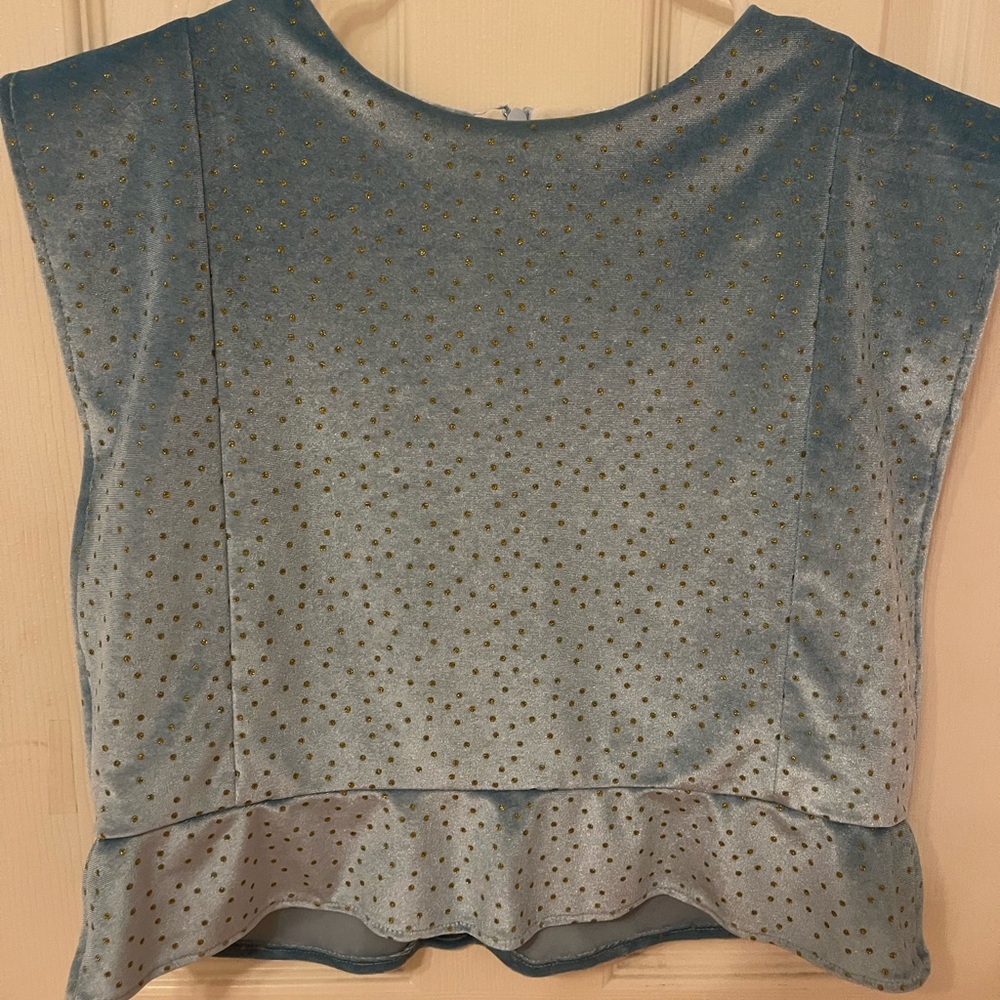 NWOT KOCH Wren top